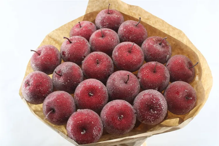 Apple Sugar X20, sušené 50 cm