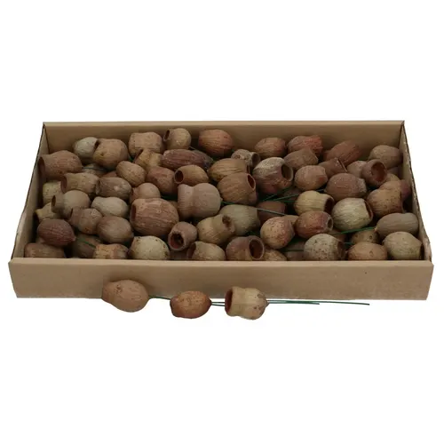 Sušený materiál BellGums/wire hnedá