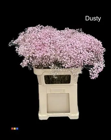 Gyps Xlence Dusty Pastel Pink 80 cm
