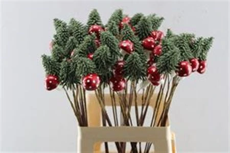 Kerstboom Met Paddestoel, sušené 65 cm