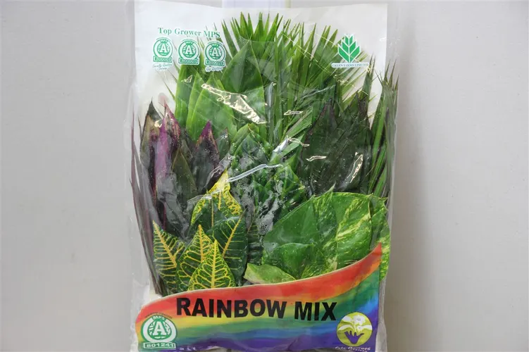 Tropical Mix