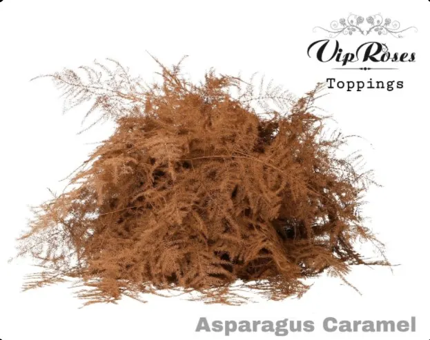 Asparagus / Asparágus (špeciál)