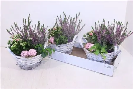 Arr Tuinplanten In Rieten Mand Met Oren črepník 22 cm