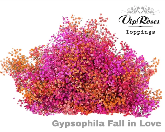 Gyps Pa Fall In Love 80 cm