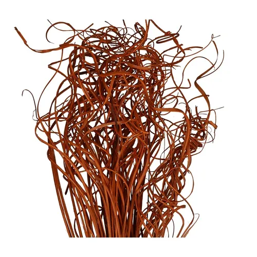 Sušený materiál Curly TingTing oranžová 70 cm