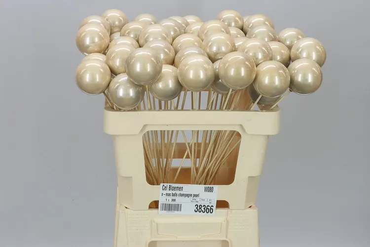 X-mas Balls Champagne Pearl 50 cm