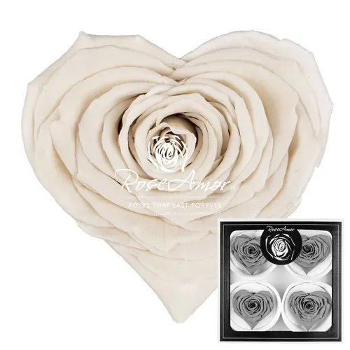 Stabilizovaná ruža v tvare srdca Corazon Bella ⌀ 7 cm, biela WHI04