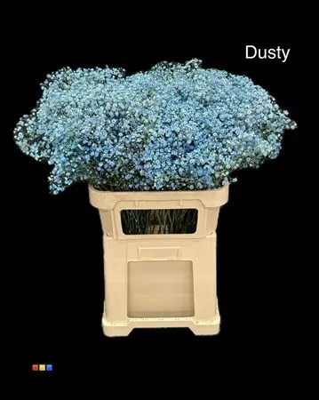 Gyps Xlence Dusty Blue 80 cm