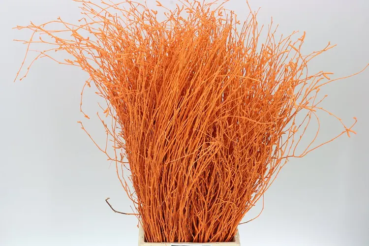 Berk Orange 70 cm