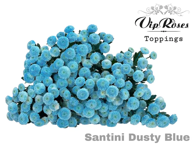 Chr S Dusty Blue 55 cm