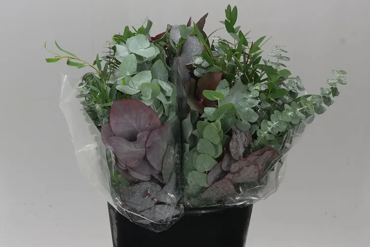 Eucalyptus Mix Short 50 cm