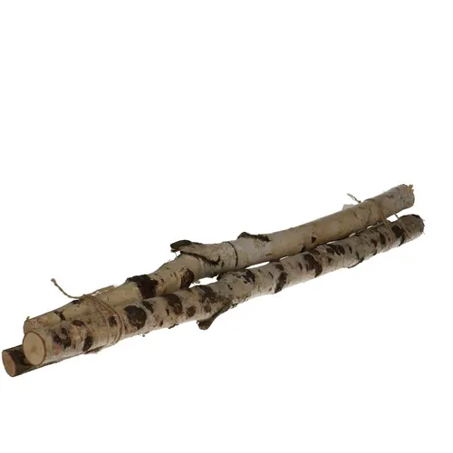 Sušený materiál breza vetva hnedá 60 cm