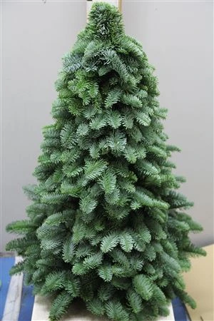 X-mass Tree Handmade 80cm 80 cm