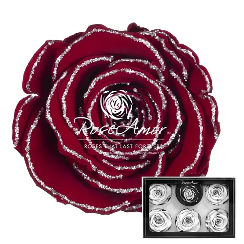 Stabilizovaná ruža XL ⌀ 6 cm, červená so strieborným okrajom RED01