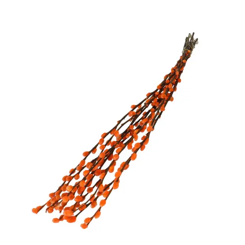 Sušený kvet Willow catkins oranžová 70 cm