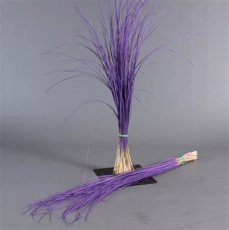 Beregras Milka 60 cm