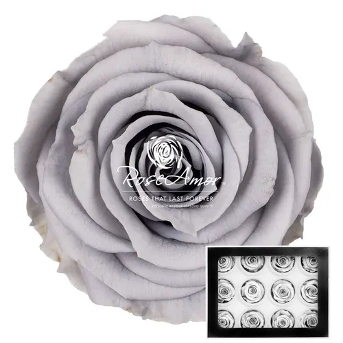Stabilizovaná ruža S ⌀ 4 cm, sivá GRY02