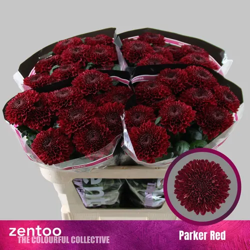 Chr G Parker Red 70 cm