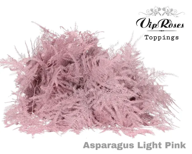Asp Ov 1e Veren Light Pink 45 cm