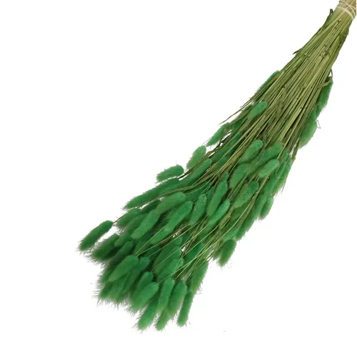 Sušený zajačí chvost zelený 65 cm, 100 g