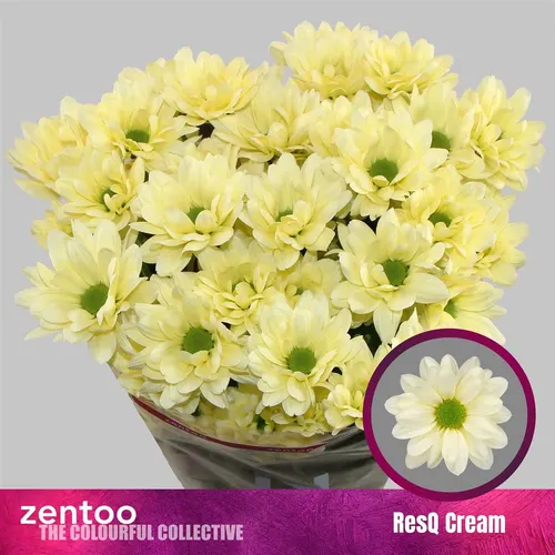 Chr T Resq Cream 70 cm