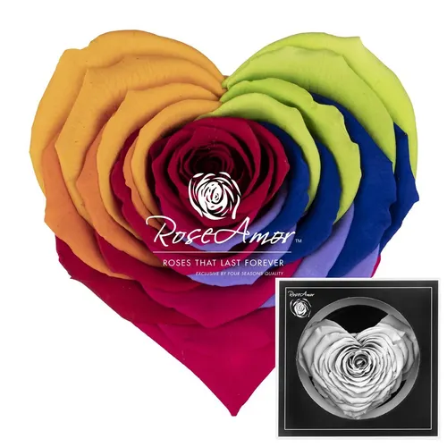 Stabilizovaná ruža v tvare srdca Corazon ⌀ 9 cm, dúhová RED02