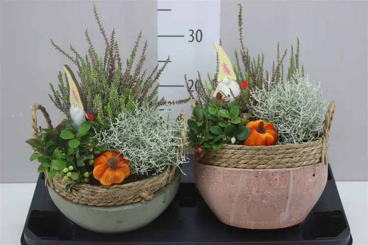 Arr Tuinplanten In Beton Touw črepník 24 cm