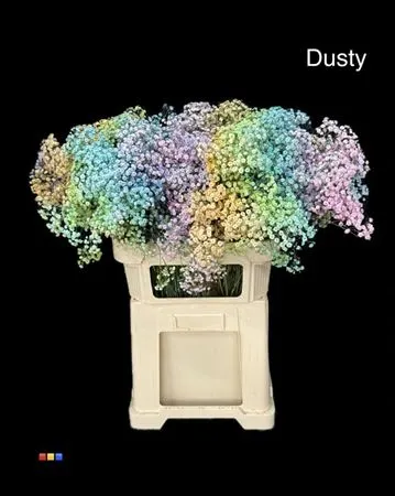 Gyps Xlence Dusty Rainbow 80 cm
