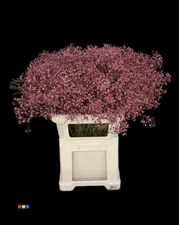 Gyps Xlence Bordeaux 80 cm