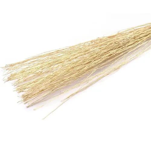 Sušený materiál Yanagi vetva zlatá 85 cm