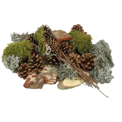 Sušený materiál mix forest 500 g