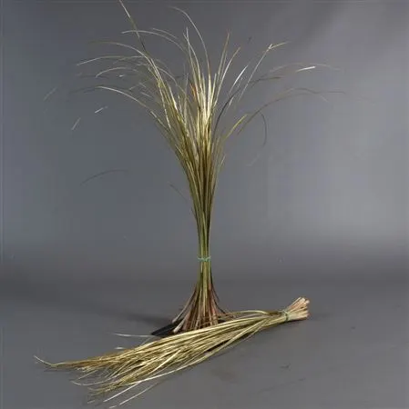 Beregras Gold 60 cm