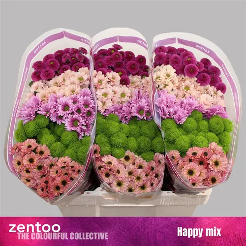 Sant Happy Mix 55 cm