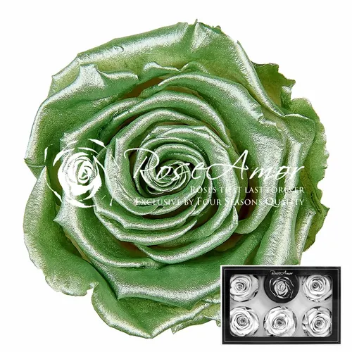 Stabilizovaná ruža XL ⌀ 6 cm, Metallic Mint zelená