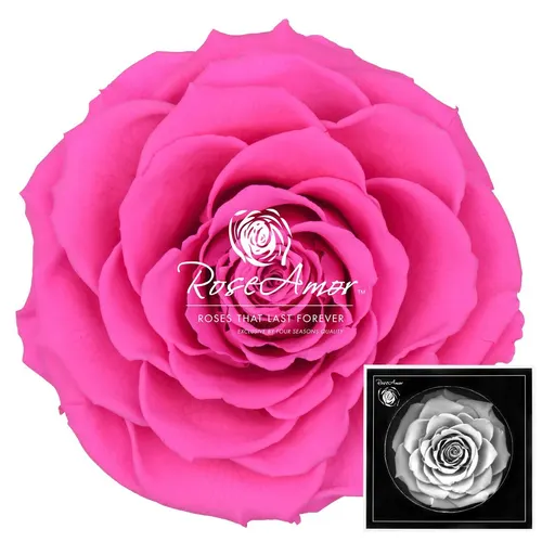 Stabilizovaná ruža Bonita ⌀ 9 cm, ružová PIN07