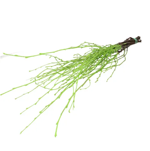 Sušený materiál breza vetva zelená 70 cm
