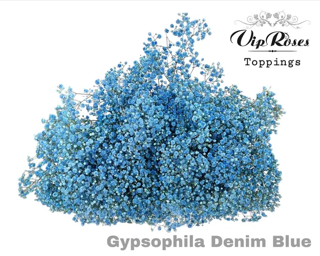 Gyps Pa Denim Blue 80 cm