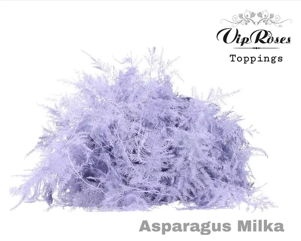 Asp Ov Getopt Lang Milka 85 cm