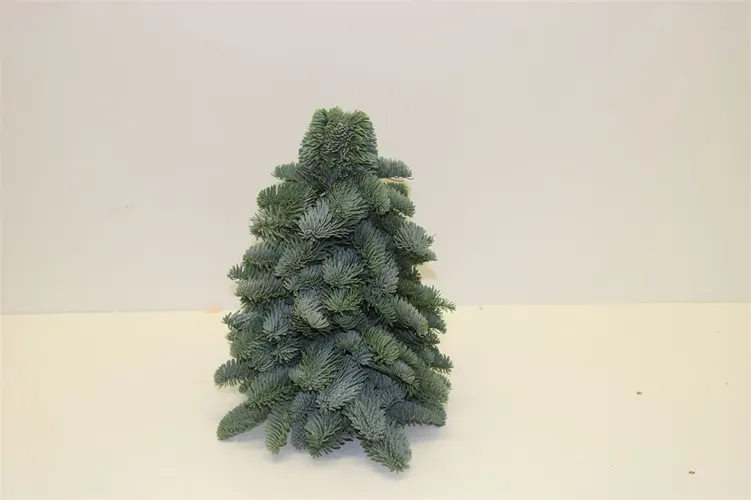 Vianočný stromček z čečiny, ručne viazaný 30 cm