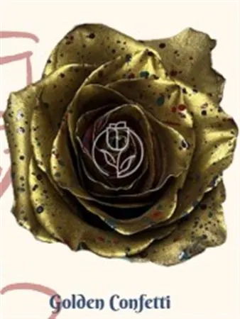 Rosa Gr Ec Tinted Golden Confetti 50 cm