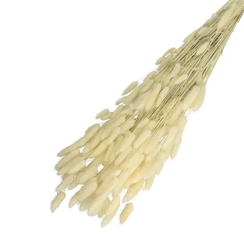 Sušený zajačí chvost oranžový 65 cm, 100 g