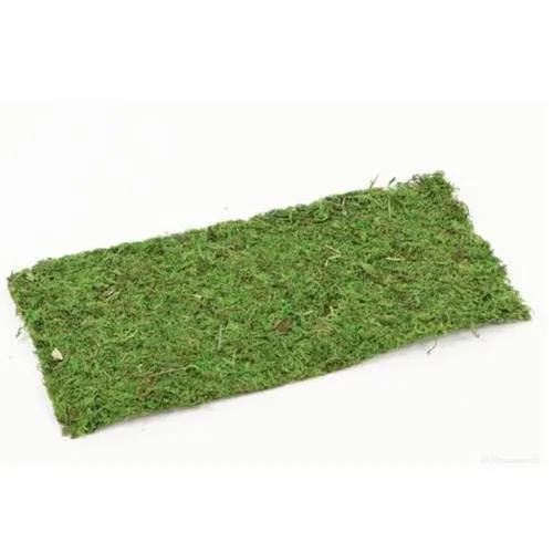 Sušený materiál mach hárok zelená 38 × 18 cm