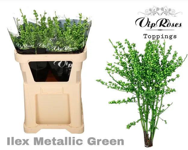 Ilex Metallic Green 60 Cm 60 cm