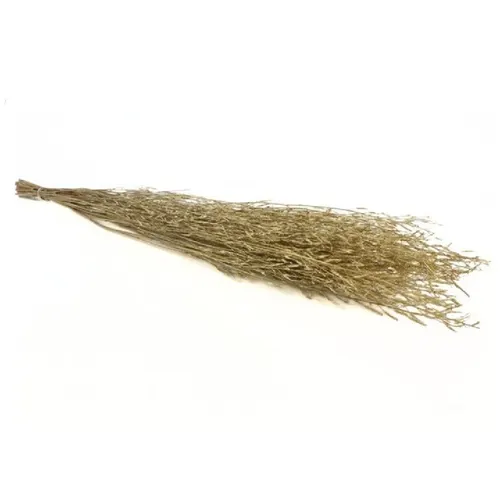 Sušený kvet Saras grass zlatá 100 cm