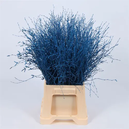 Berk Blue Glitter 120 cm