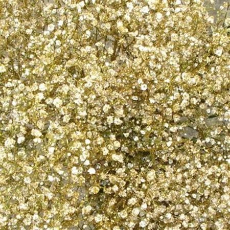 Gypsofila Million Star Glitter Gold