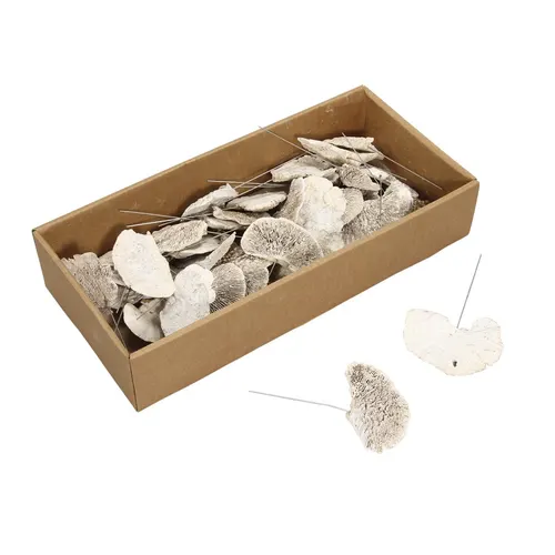 Sušený materiál Sponge Mushroom/wire biela