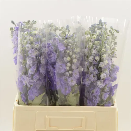 Delph El Purple Heart 60 cm