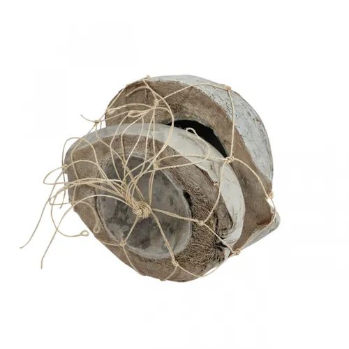Sušený materiál Coco half biela 20 cm
