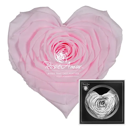 Stabilizovaná ruža v tvare srdca Corazon ⌀ 9 cm, ružová PIN99